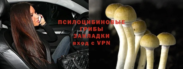 соль курить ск Новозыбков