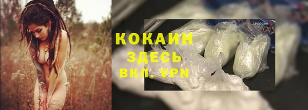 соль курить ск Новозыбков