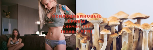 соль курить ск Новозыбков