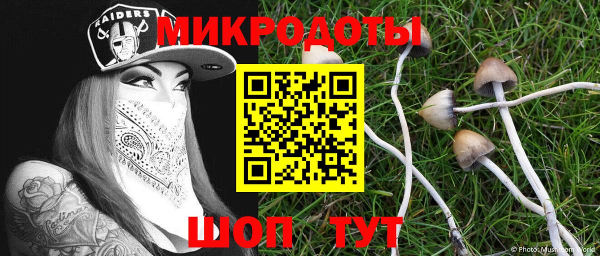 Псилоцибиновые грибы Cubensis Магнитогорск