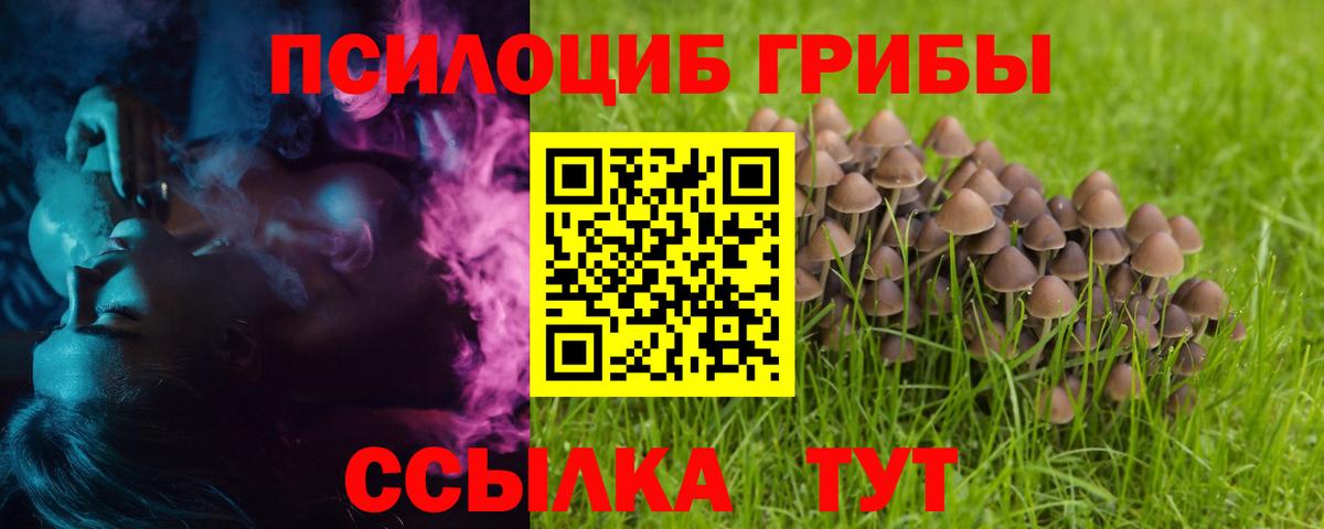 Галлюциногенные грибы MAGIC MUSHROOMS  Вход с VPN  Магнитогорск 